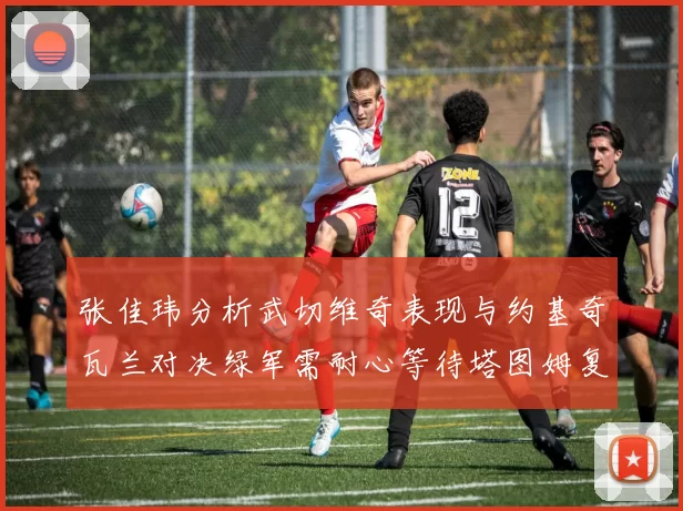 张佳玮分析武切维奇表现与约基奇瓦兰对决绿军需耐心等待塔图姆复出