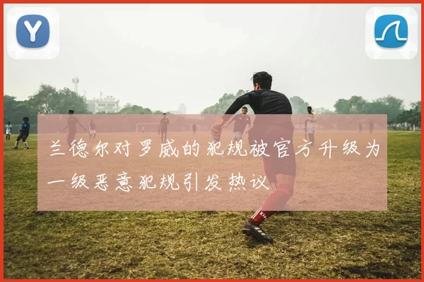 兰德尔对罗威的犯规被官方升级为一级恶意犯规引发热议