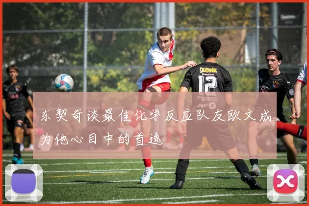 东契奇谈最佳化学反应队友欧文成为他心目中的首选